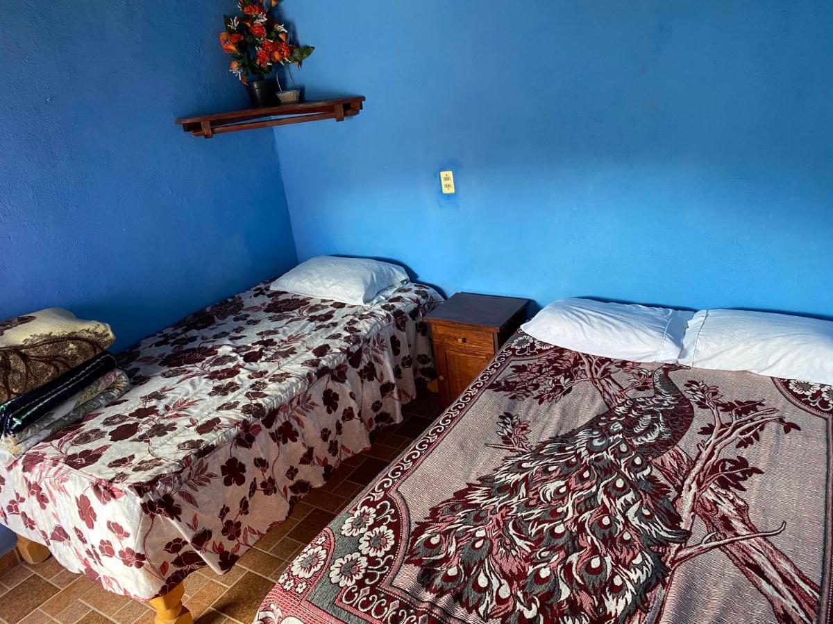 Hospedaje Alex Catorce Bagian luar foto