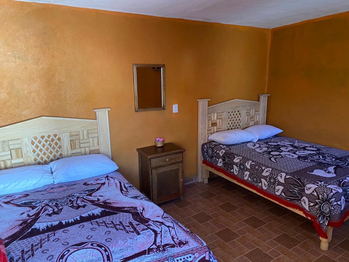 Hospedaje Alex Catorce Bagian luar foto